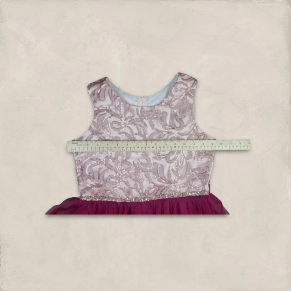 Preowned Rare Editions Pink/burgundy Embroidered Rhinestone Tulle Dress Girls 16 - Picture 5 of 9